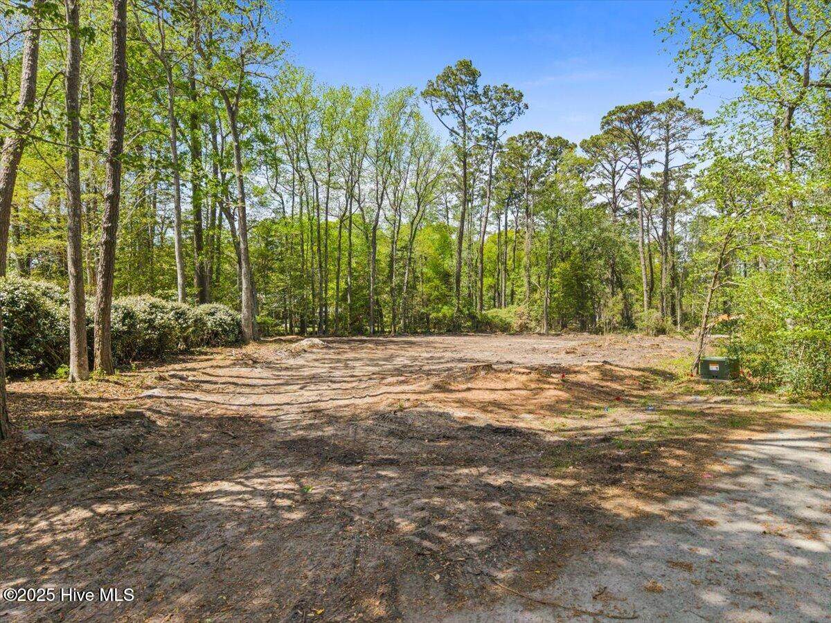 9136 Forest Drive - Photo 1