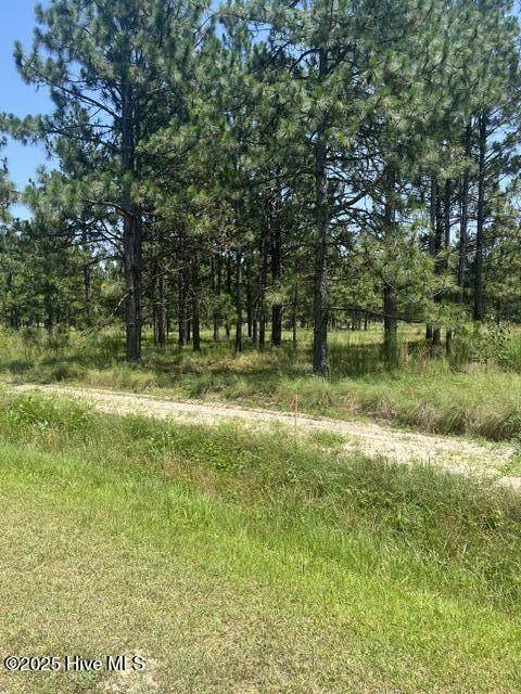 Lot C Shaver Lane - Photo 1