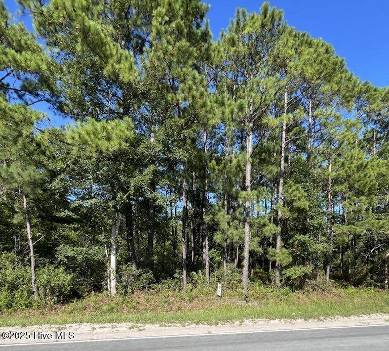 1224 Gray Bridge Road - Photo 1
