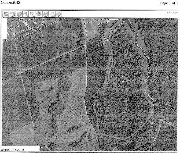 000 Merrimon Road - Photo 1