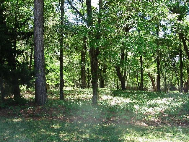 2901 Island Drive - Photo 1