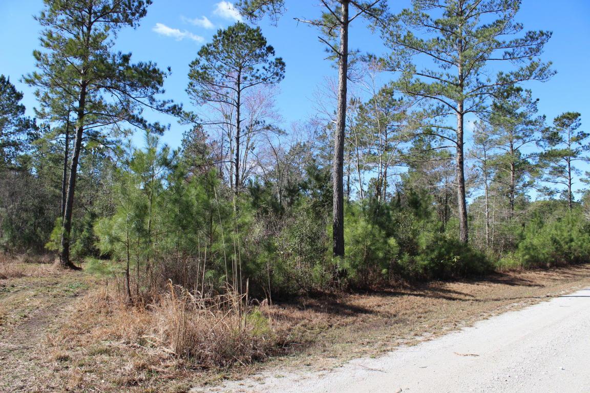 Lot 3 Chestnut Oak Drive - Photo 1