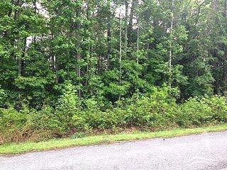 21 Pinewood Drive - Photo 1