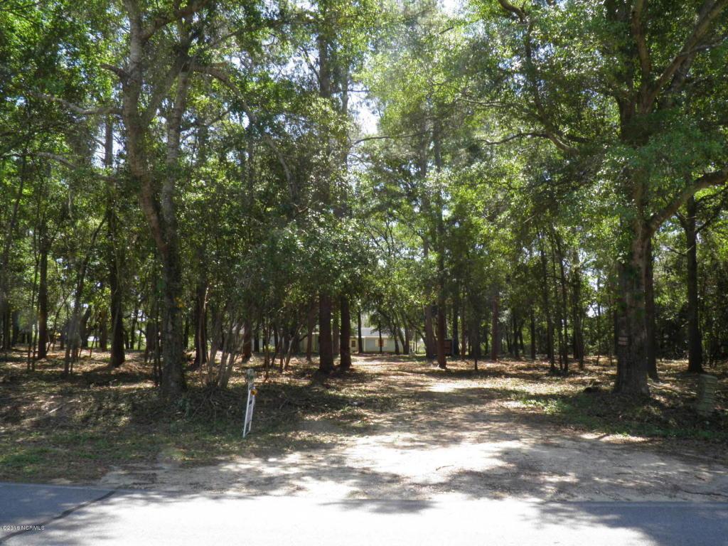 1940 Goose Creek Road - Photo 1