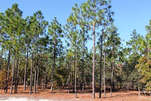 3589 Bristlecone Bend L-63, Southport, NC 28461 (MLS #20698015) :: Century 21 Sweyer & Associates