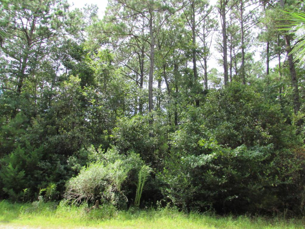 1524 Litewood Road - Photo 1