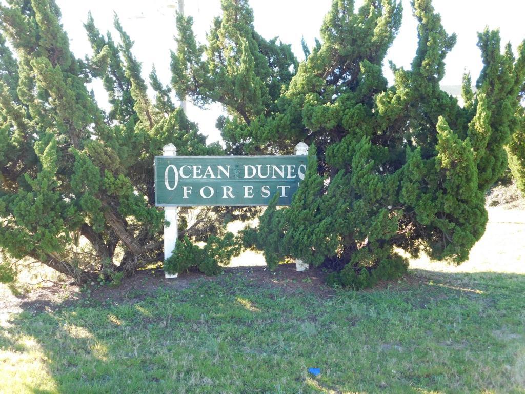 118 Stormy Petrel, Kure Beach, NC 28449 (MLS #30531214) :: Century 21 Sweyer & Associates