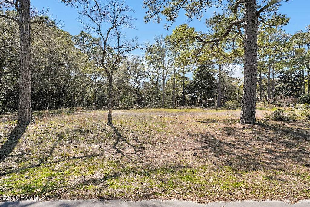 809 Monroe Avenue - Photo 1