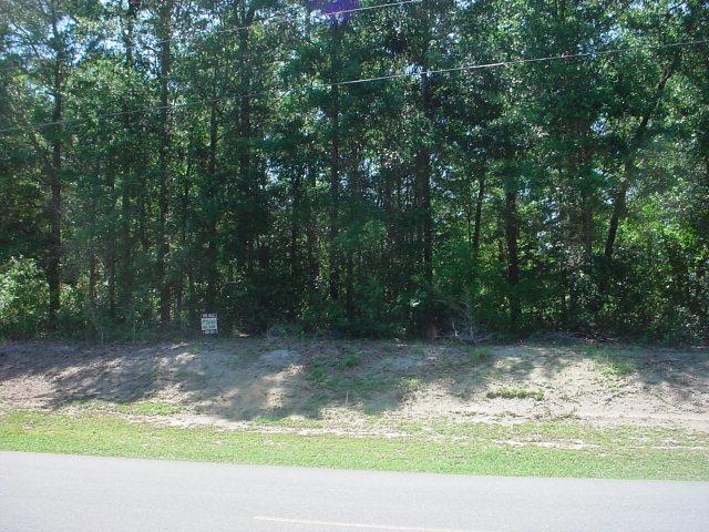 778 Chadwick Shores Drive - Photo 1