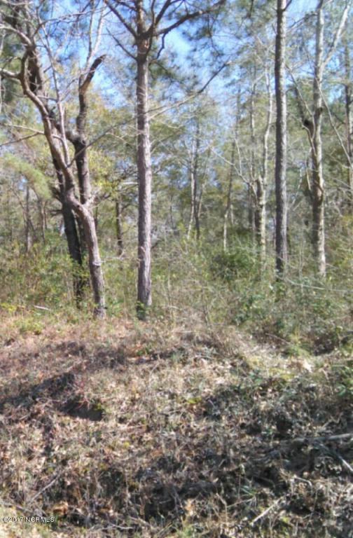Unk. Wheeler Creek Road - Photo 1