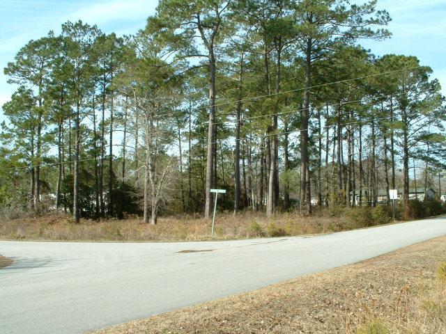 102 Ravenell Street - Photo 1