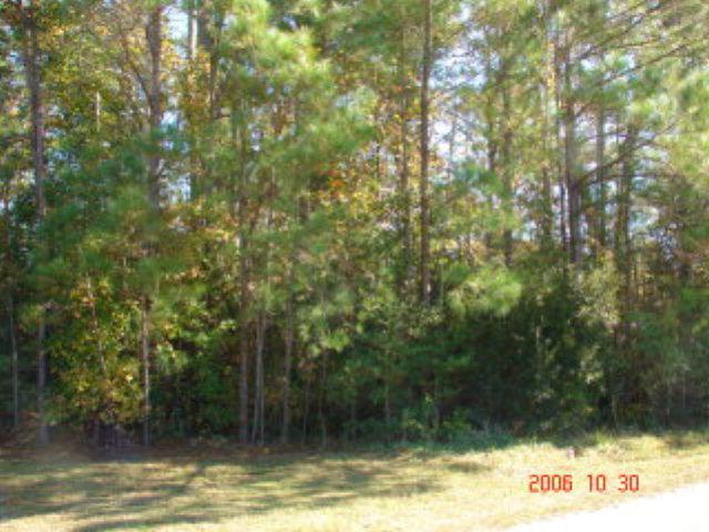 299 Crosswood Drive - Photo 1