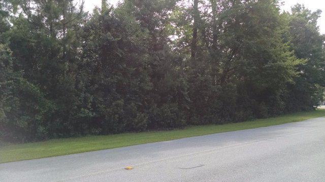 1420 Chadwick Shores Drive - Photo 1