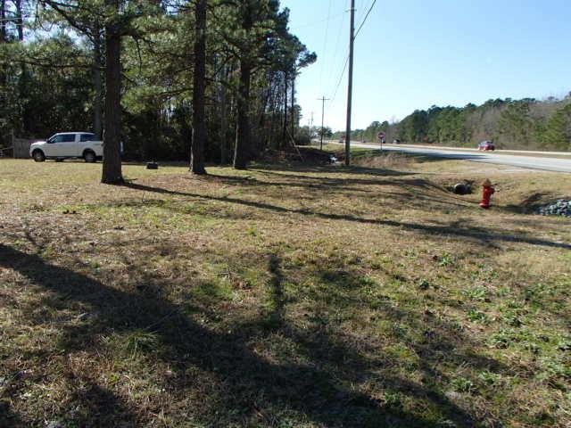 714 Highway 17 - Photo 1