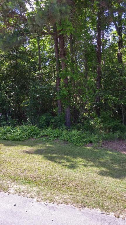 408 Celtic Ash Street - Photo 1