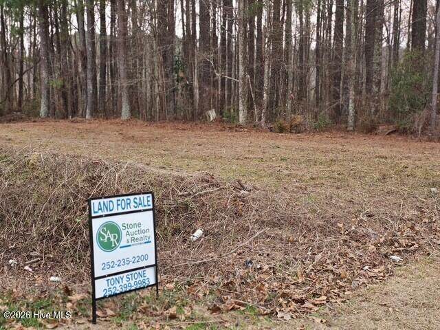 000 Lassiter Pond Road - Photo 1