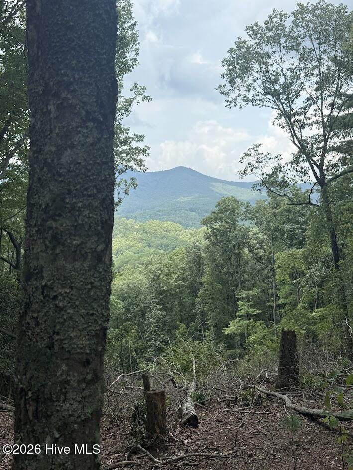 Lot 43 Pine Cove Lane - Photo 1