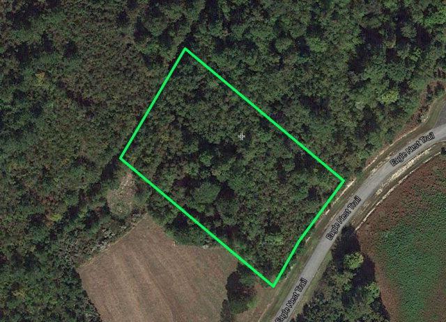 Lot 85 Eagle Nest Trail - Photo 1