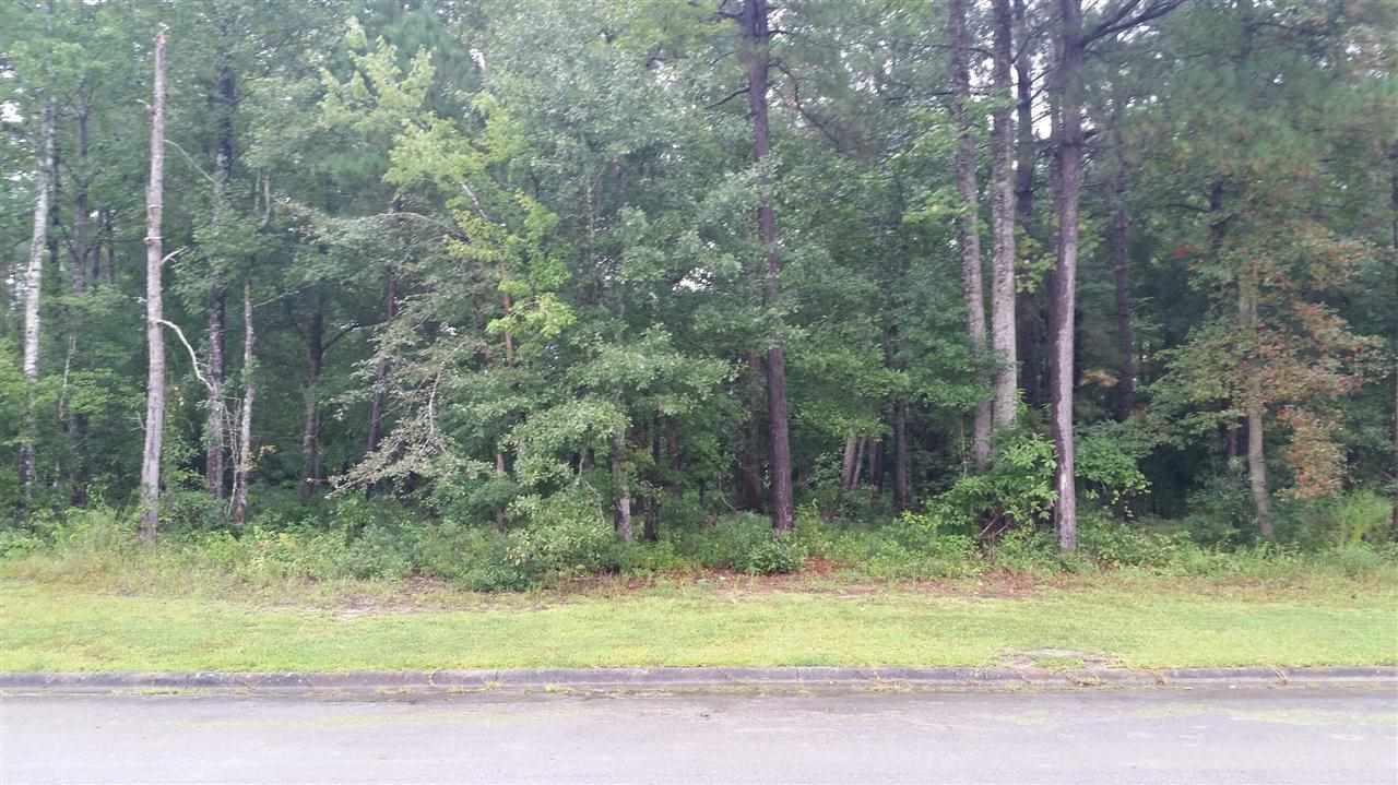 961 Lynchburg Drive - Photo 1