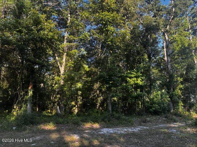 2425 Sunset Harbor Road - Photo 1