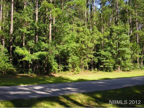 405 Vicksburg Court - Photo 1