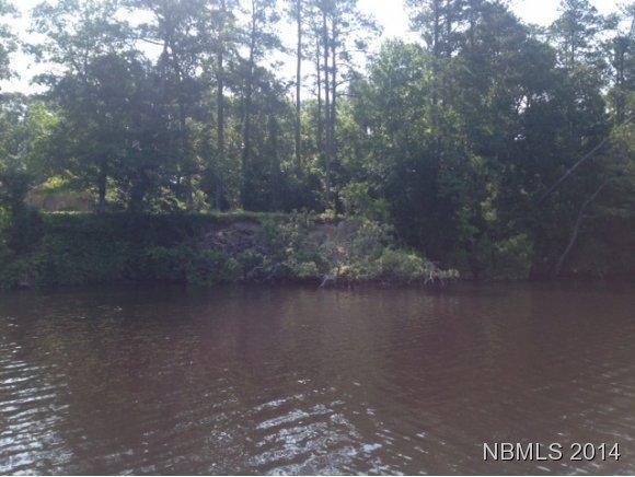 295 W Rock Creek Road, New Bern, NC 28562 (MLS #90092732) :: Century 21 Sweyer & Associates