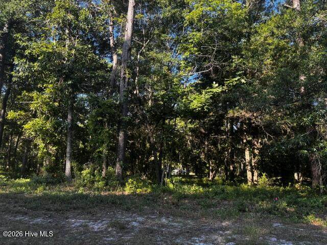 2408 Zion Hill Rd Road - Photo 1