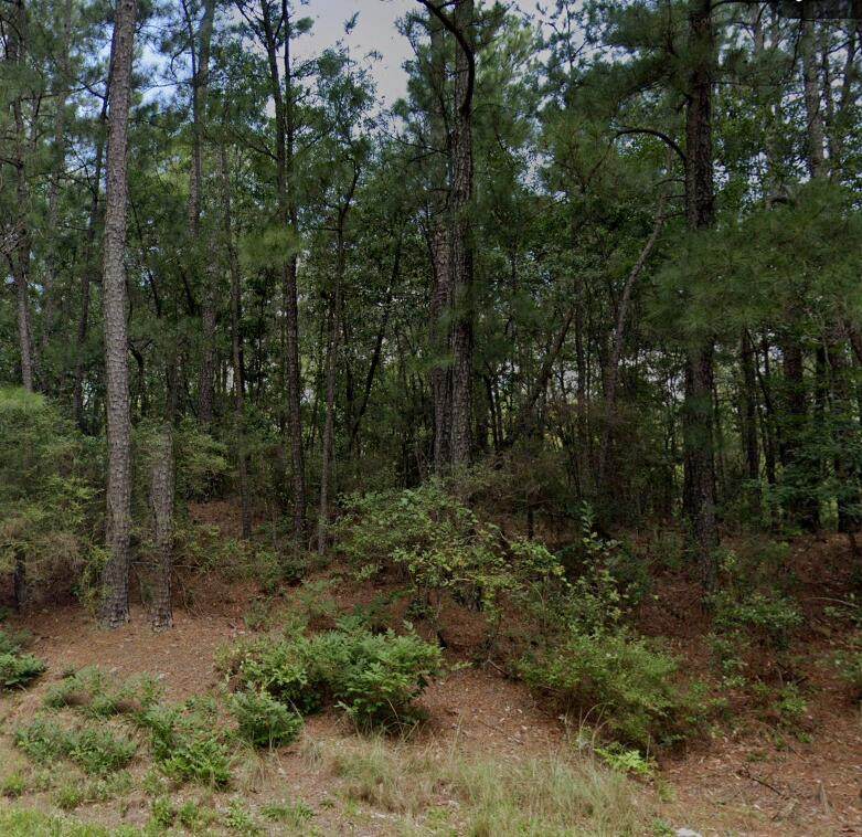 7.5a Woodberry Road - Photo 1