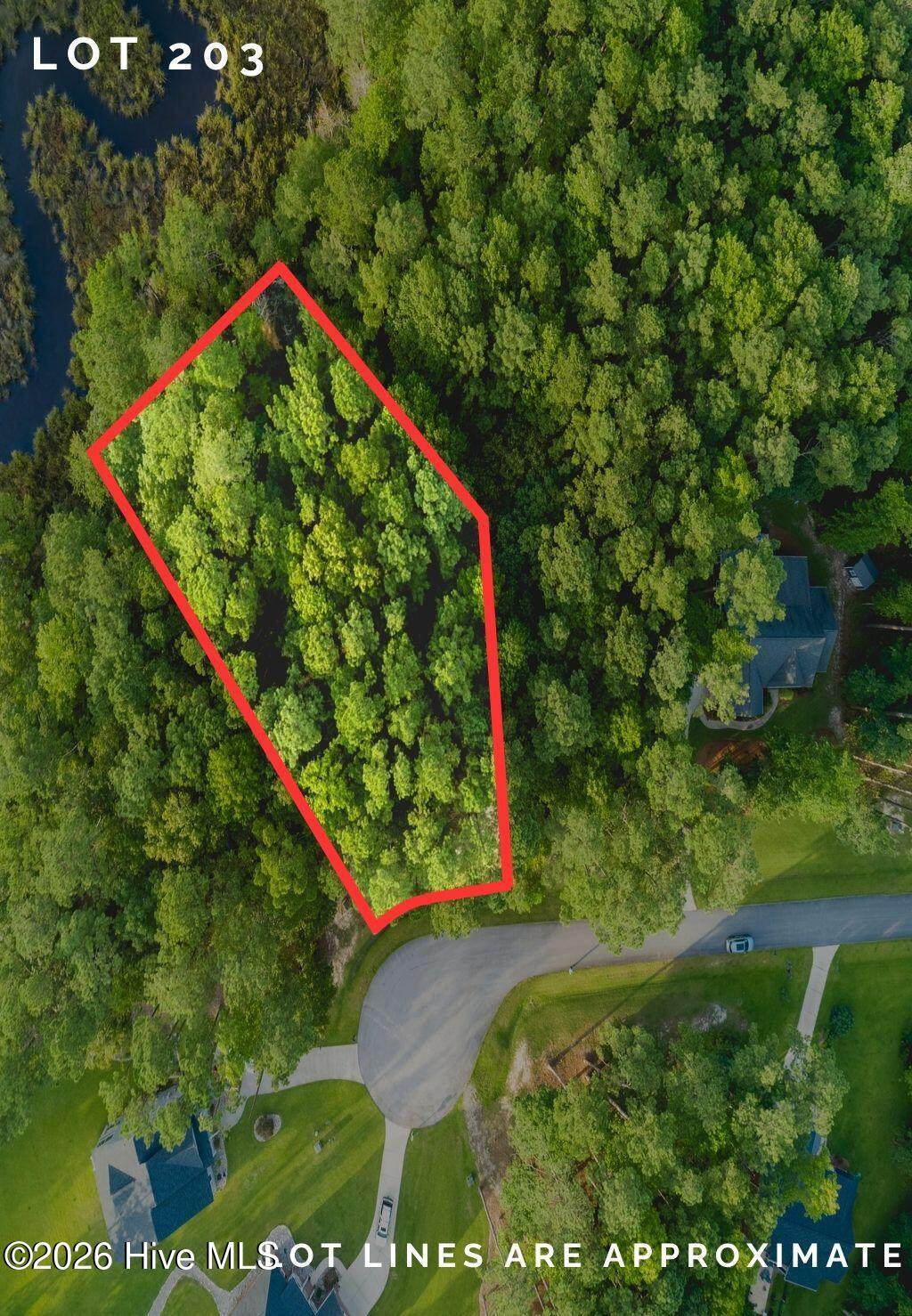 292 Brightleaf Drive - Photo 1