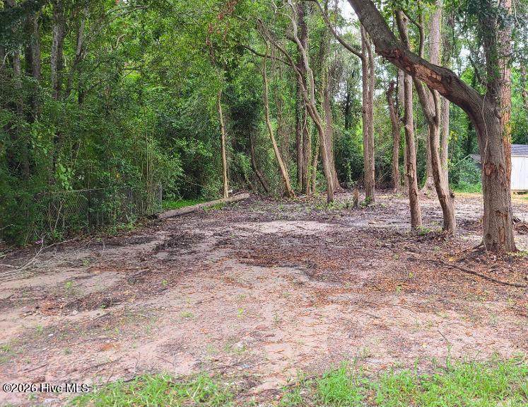 1138 French Road - Photo 1