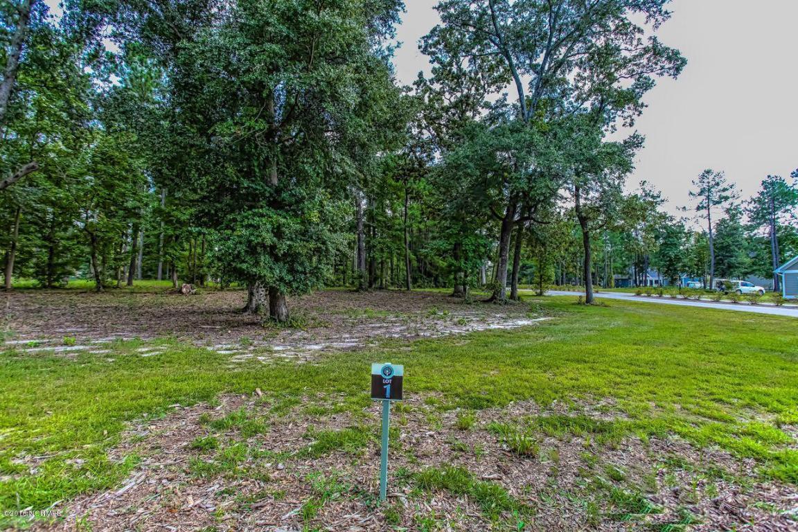 3602 Hansa Drive - Photo 1