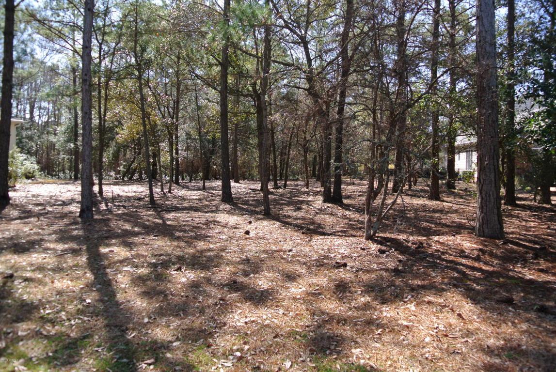 1815 Smoketree Court - Photo 1