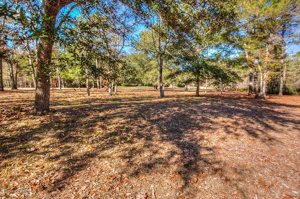 316 Blounts Bay Court - Photo 1
