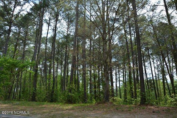 108 Long Leaf Drive - Photo 1