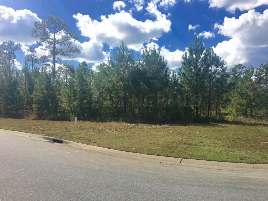3702 Friendly Orange Court NE, Leland, NC 28451 (MLS #100020551) :: Century 21 Sweyer & Associates
