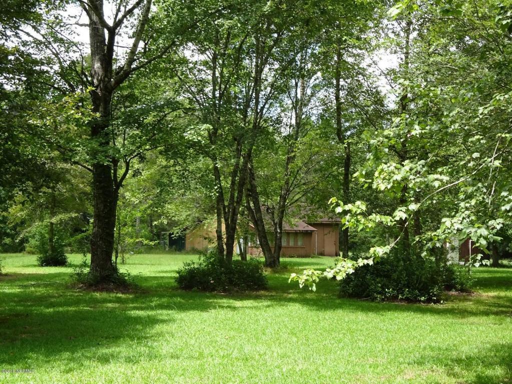 362 Diamondback Trail, Burgaw, NC 28425 (MLS #100025517) :: Century 21 Sweyer & Associates