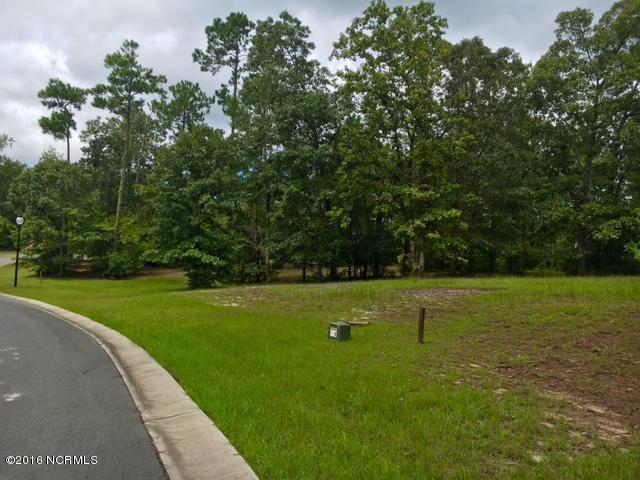 1206 St Simons Drive - Photo 1