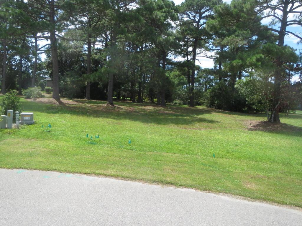 4356 Nandina Drive - Photo 1