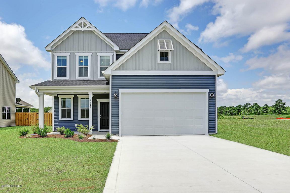 1645 Flushing Drive - Photo 1