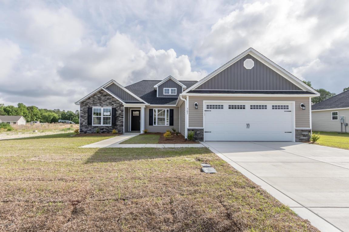307 Strut Lane - Photo 1