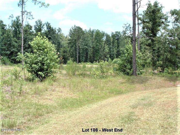 Lot 186 Pamlico River Drive - Photo 1