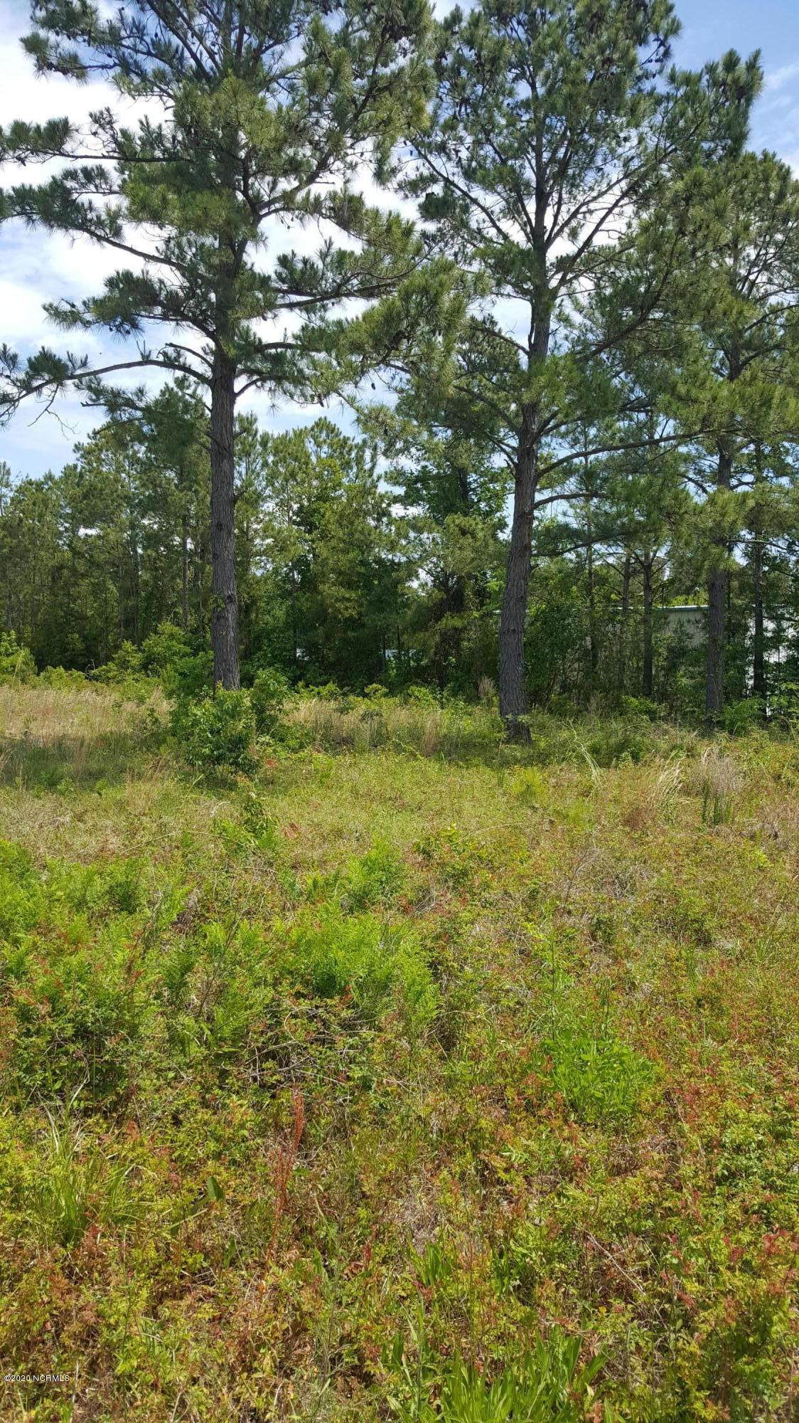 966 Highway 24 - Photo 1