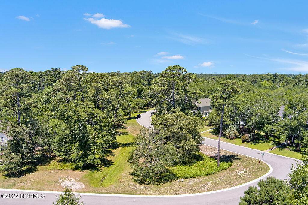5109 Hollow Tree Drive - Photo 1