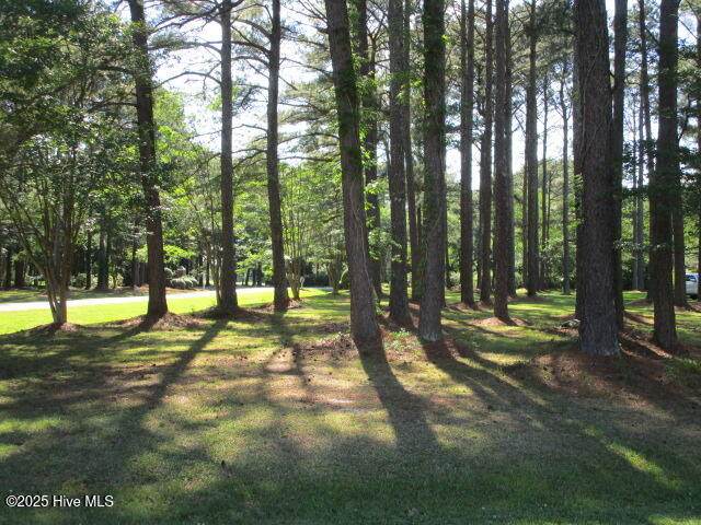 1 Croatan Road - Photo 1