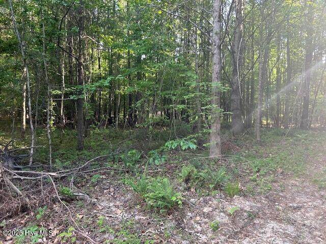 1646 Soundneck Road - Photo 1