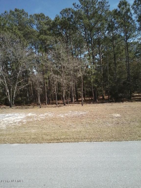 109 Brookside Court - Photo 1