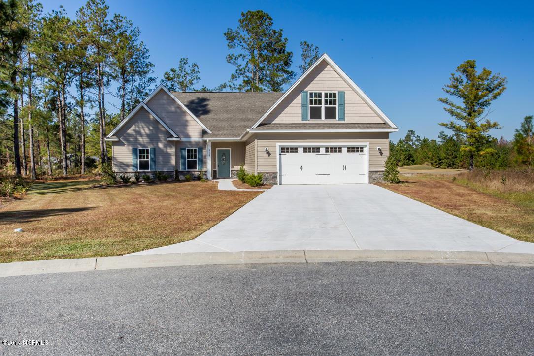 909 Stags Leap Court - Photo 1