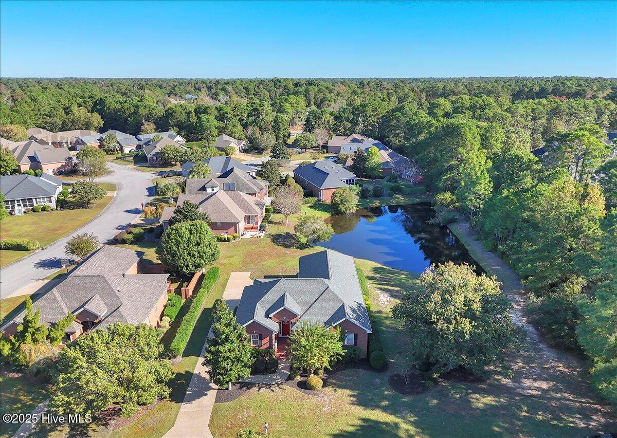 1017 Sabal Drive - Photo 1