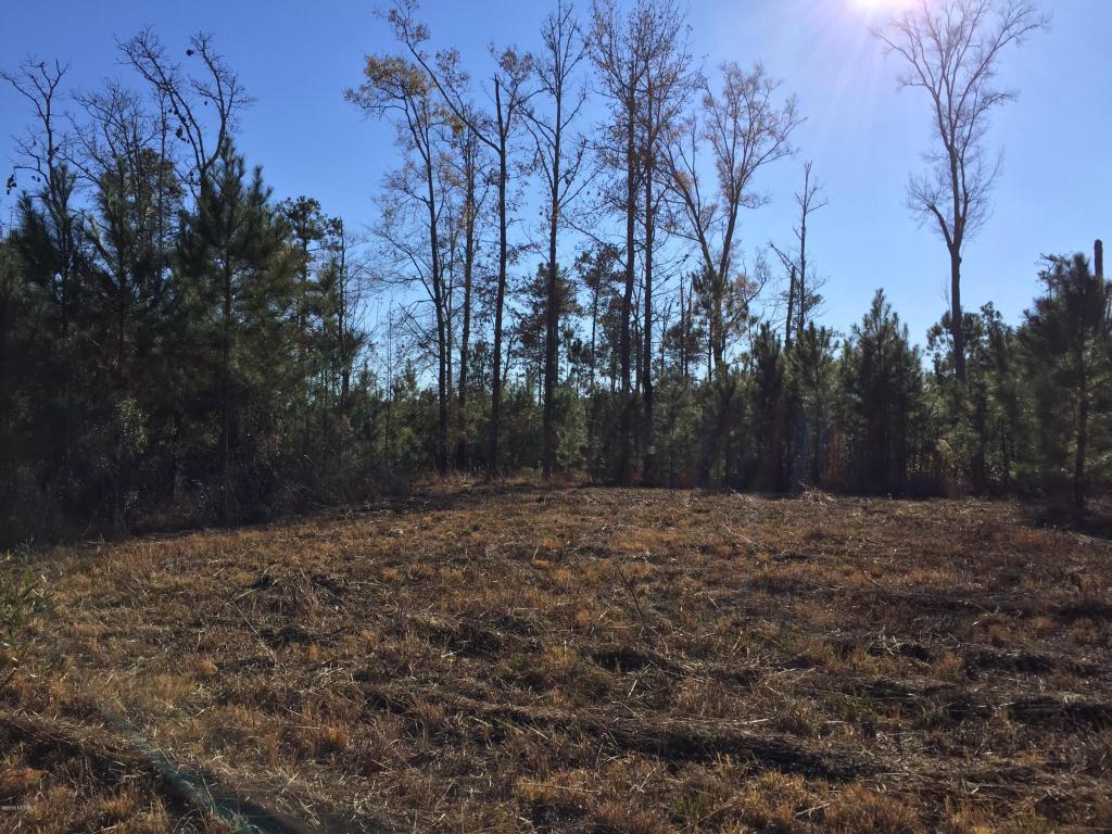 Lot 20 Bailey Pointe Drive, Belhaven, NC 27810 (MLS #100028559) :: Century 21 Sweyer & Associates