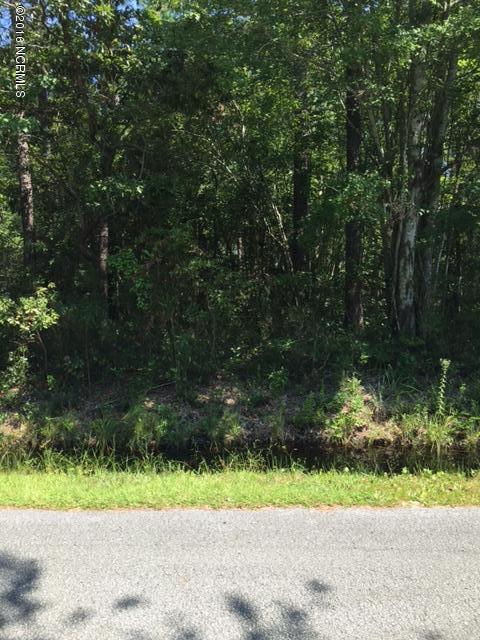 Lot 145 Elm Road - Photo 1